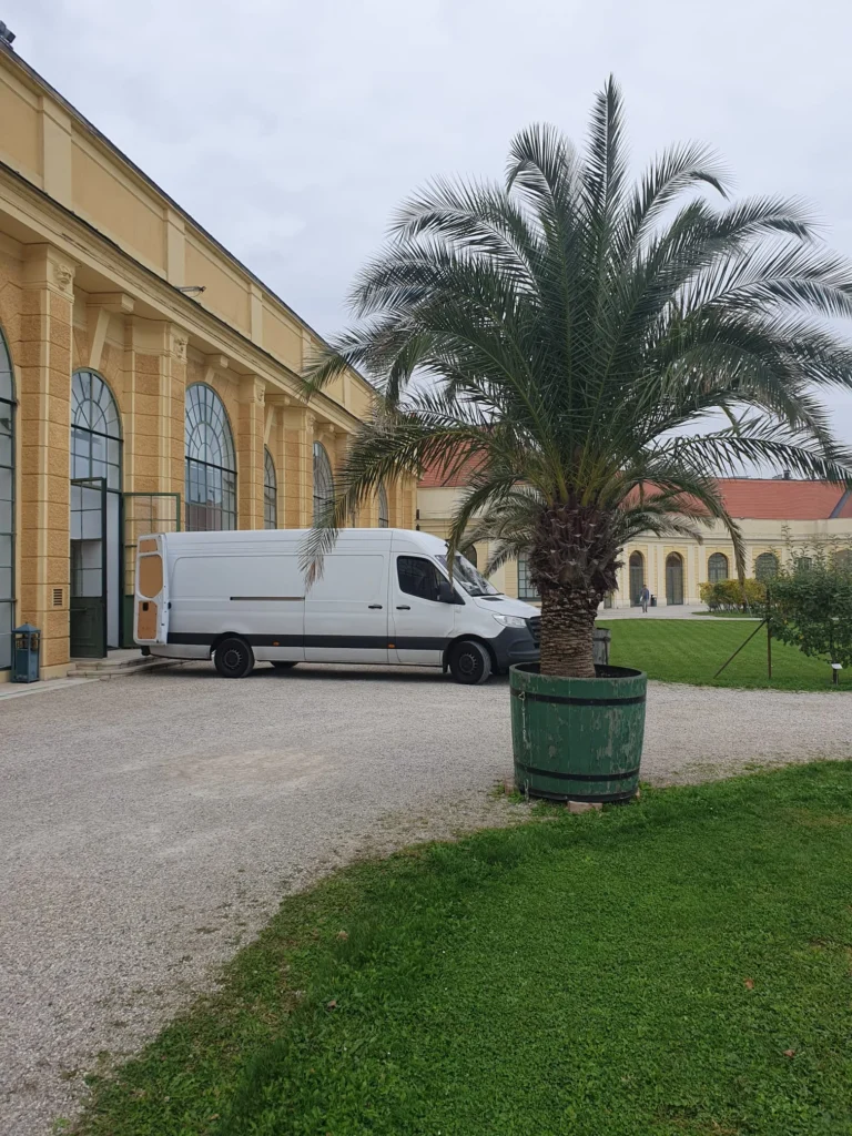 pinter klaviert und fluger transport osterreich und wien 51 - Pinter Klaviertransport